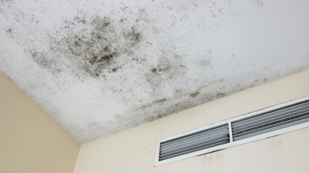 cleaning mildew from bathroom ceiling