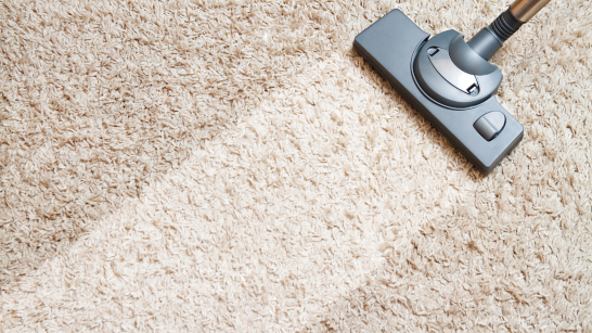 how to dry your carpet after cleaning